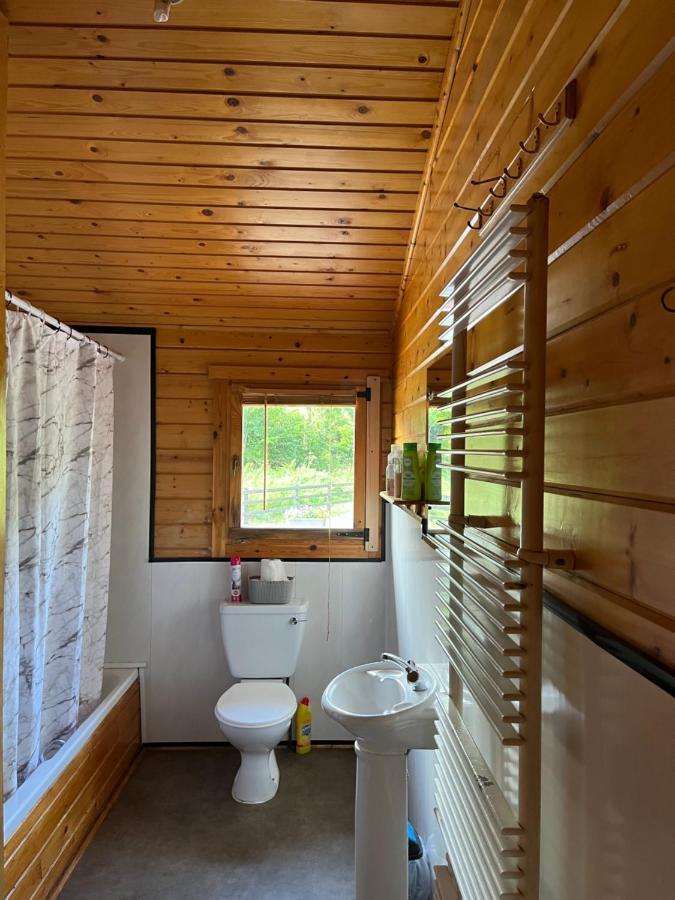 Red Squirrel Lodge Galway Exterior photo