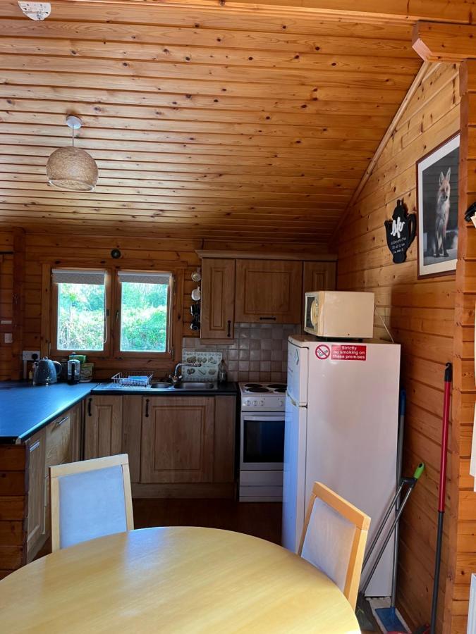 Red Squirrel Lodge Galway Exterior photo