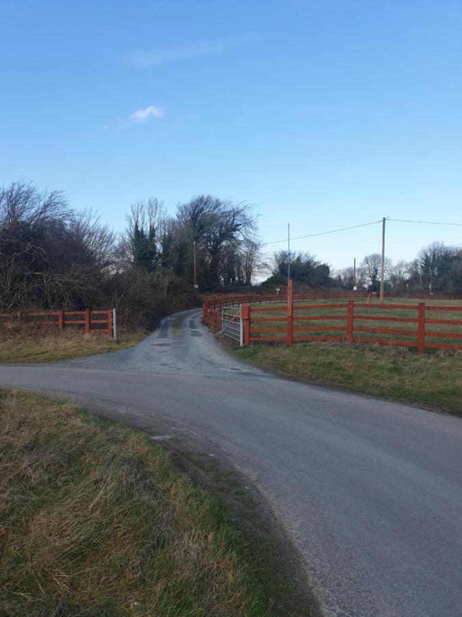 Red Squirrel Lodge Galway Exterior photo