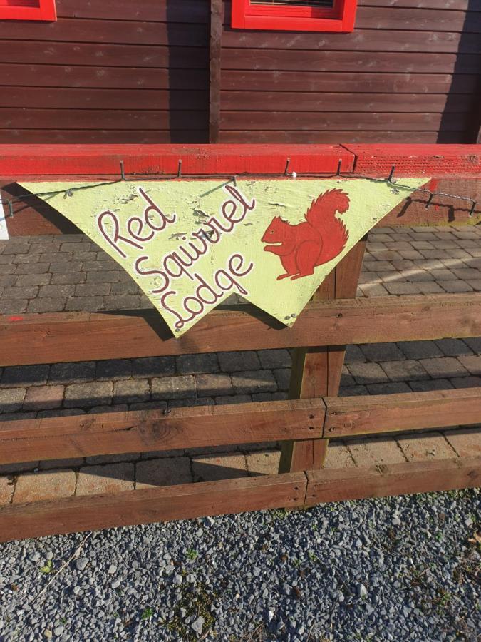 Red Squirrel Lodge Galway Exterior photo