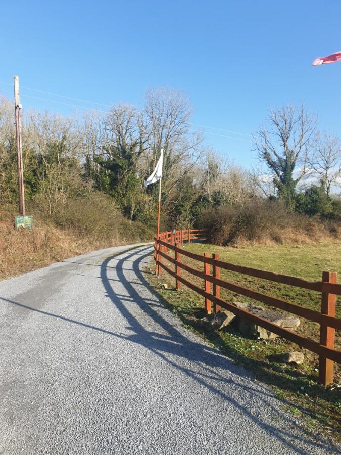 Red Squirrel Lodge Galway Exterior photo