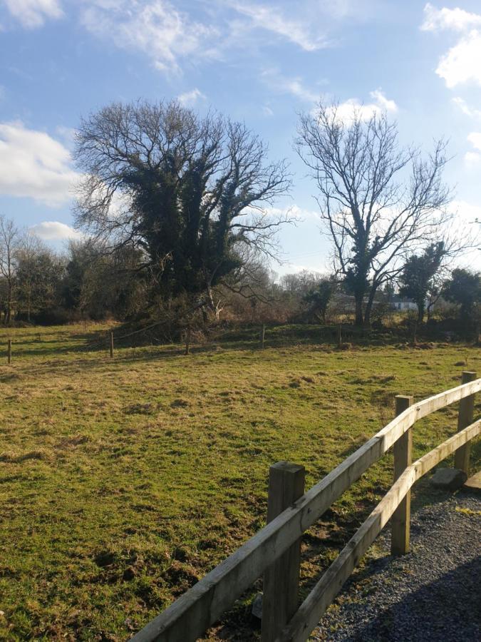 Red Squirrel Lodge Galway Exterior photo