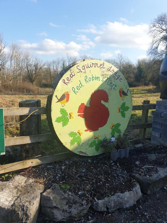 Red Squirrel Lodge Galway Exterior photo