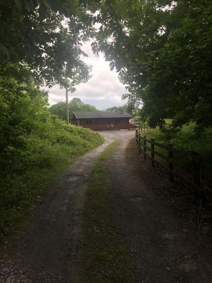 Red Squirrel Lodge Galway Exterior photo