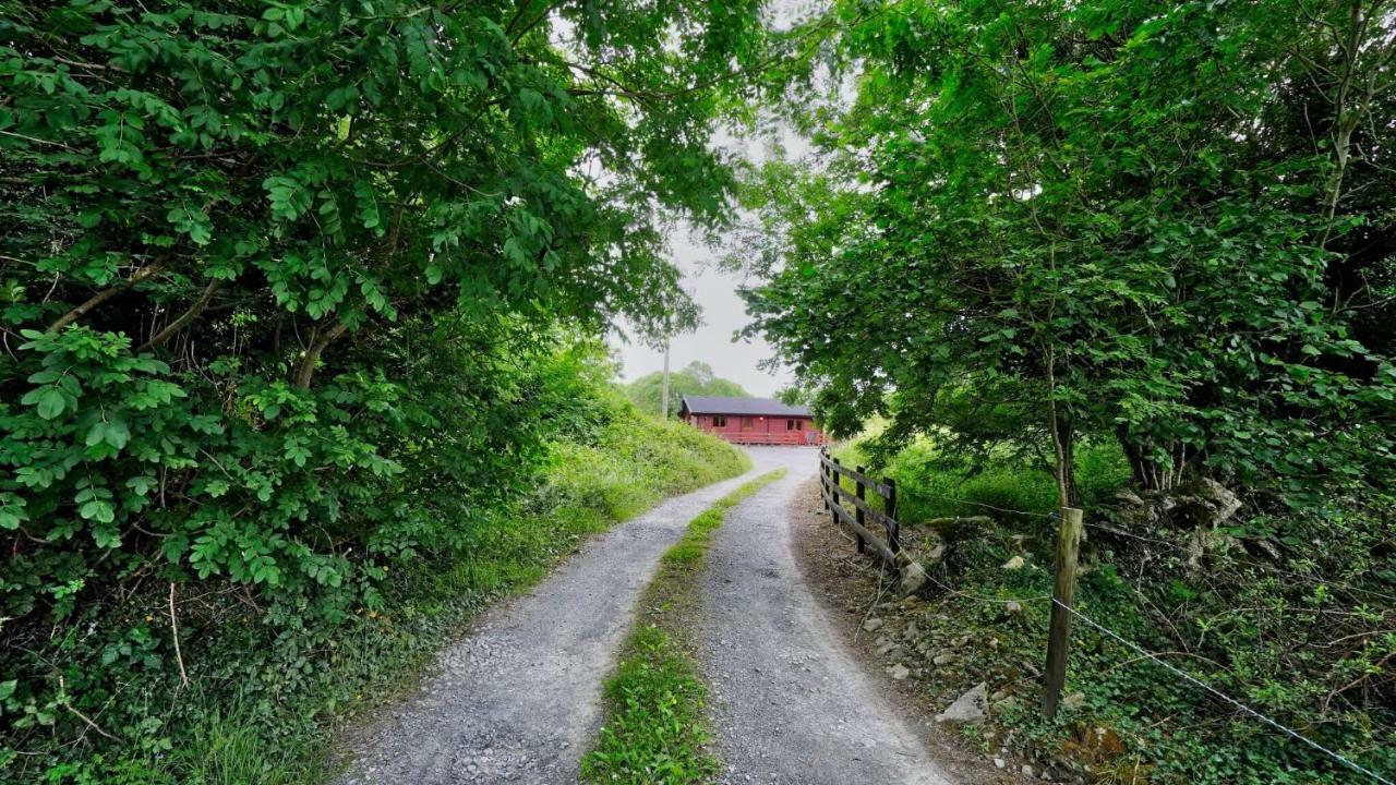 Red Squirrel Lodge Galway Exterior photo